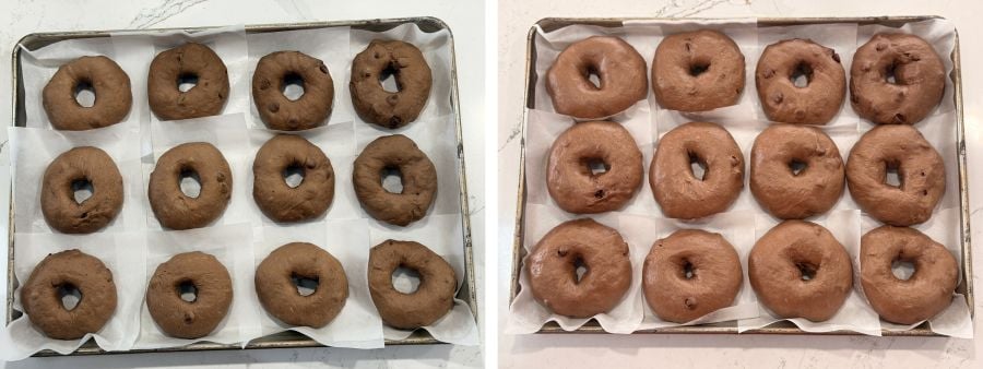 one dozen double chocolate bagels before and after second proof