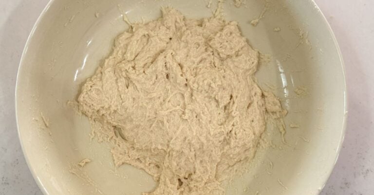 focaccia dough texture after initial mix