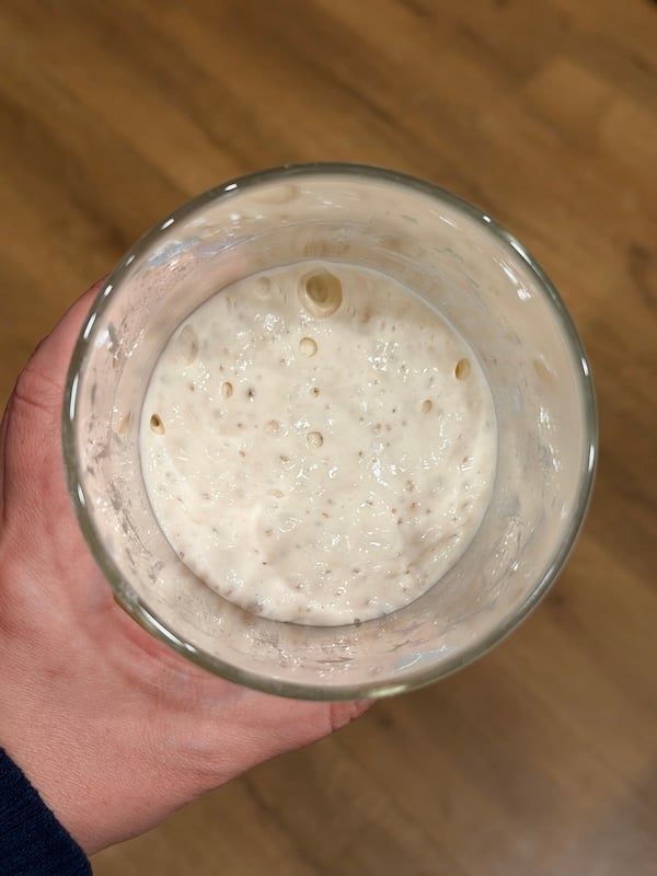 peaked starter