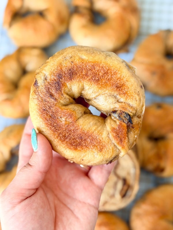 the bottom of cinnamon raisin sourdough bagels