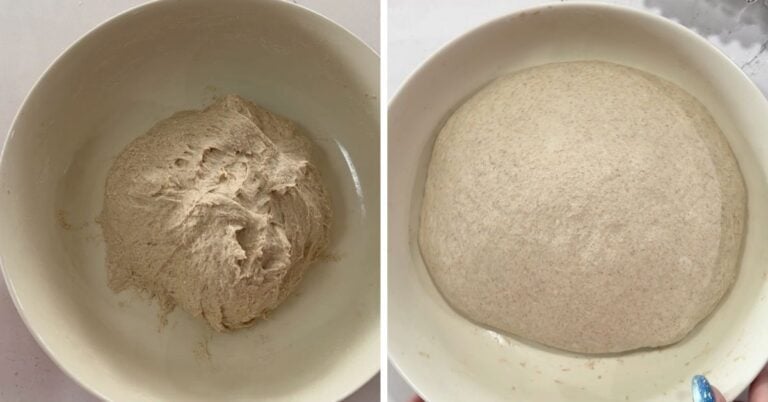 hint of rye sourdough bread bulk fermentation before and after