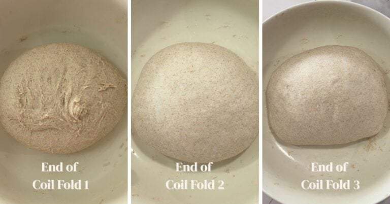 hint of rye sourdough bread coil folds transformation