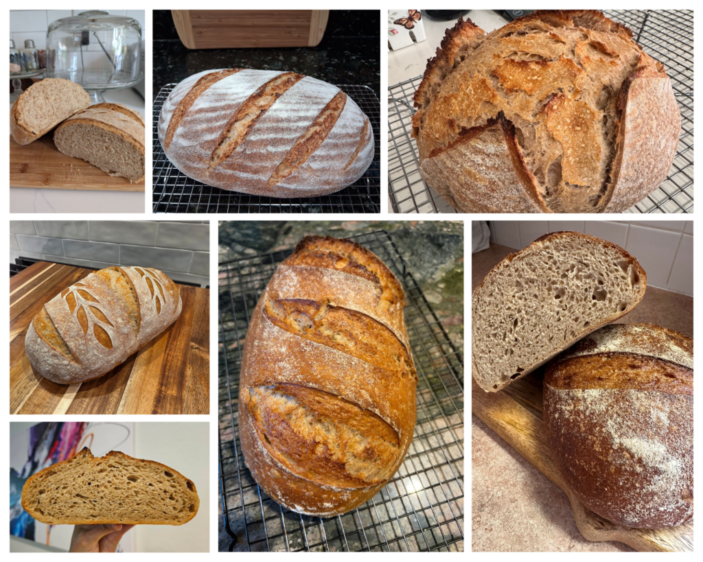 first set of hint of rye from recipe testers