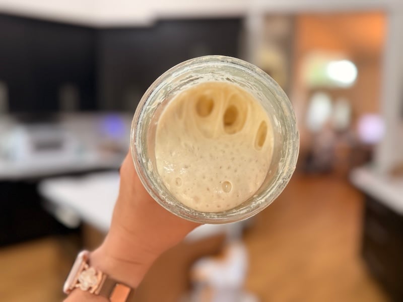 happy sourdough starter at peak