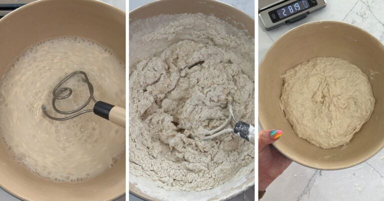initial mix of ciabatta dough