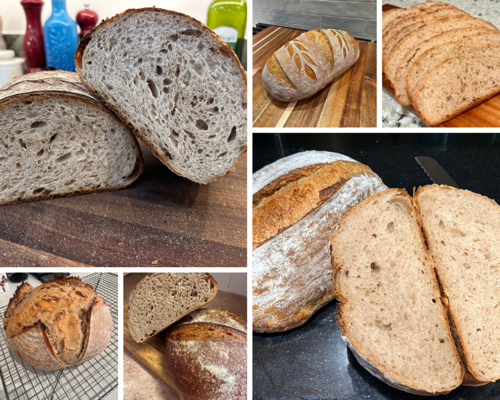 second set of Hint of Rye from recipe testers