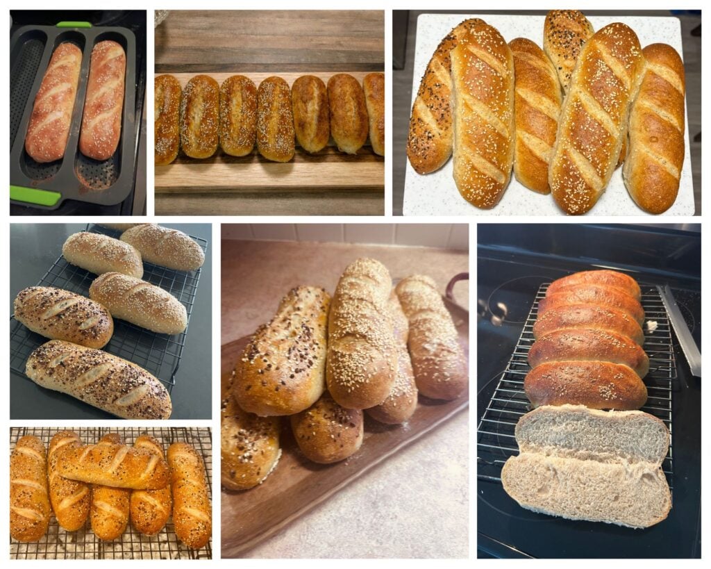 compilation of recipe tester photos of their golden hoagie rolls, some with sesame seeds, some with everything bagel seasoning