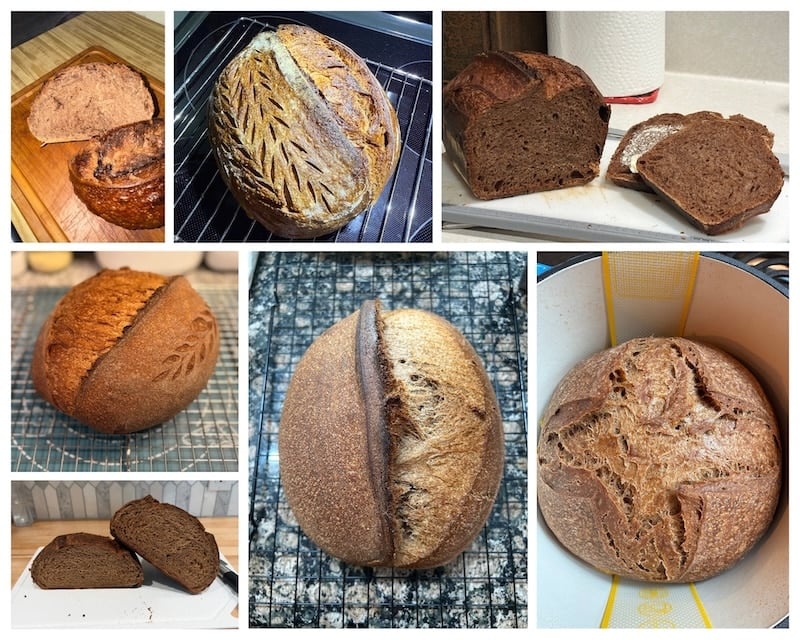 Brown bread photo submissions from recipe testers
