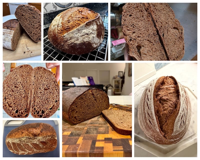 Brown bread photo submissions from recipe testers
