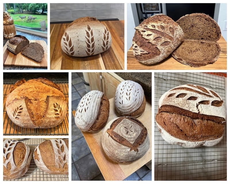 Examples of unique scoring designs on the sourdough brown bread