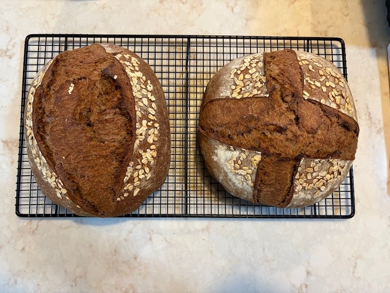 freshly milled flour sourdough brown bread
