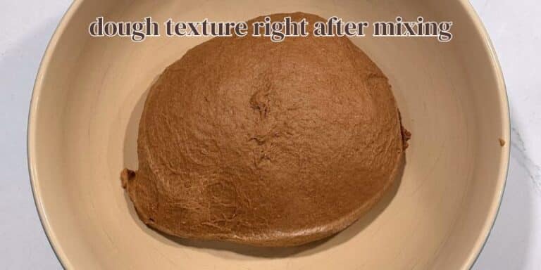 brown bread dough texture right after mixing