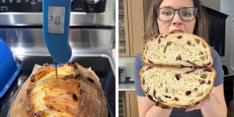 orange cranberry sourdough bread result