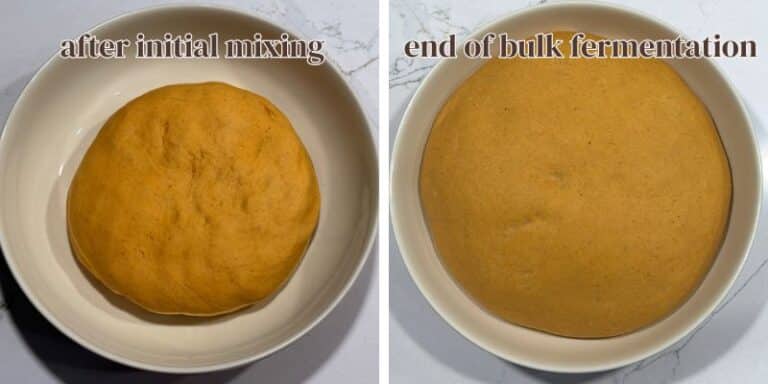 pumpkin bagel dough beginning and end of bulk fermentation