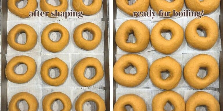 pumpkin bagel dough beginning and end of second proof