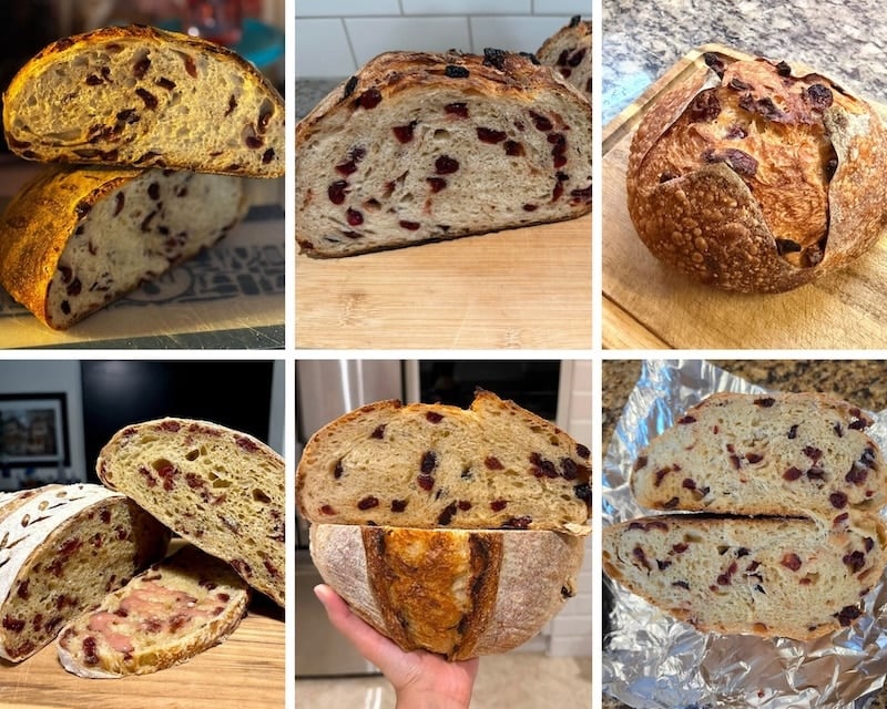 Orange cranberry bread recipe tester photo submissions