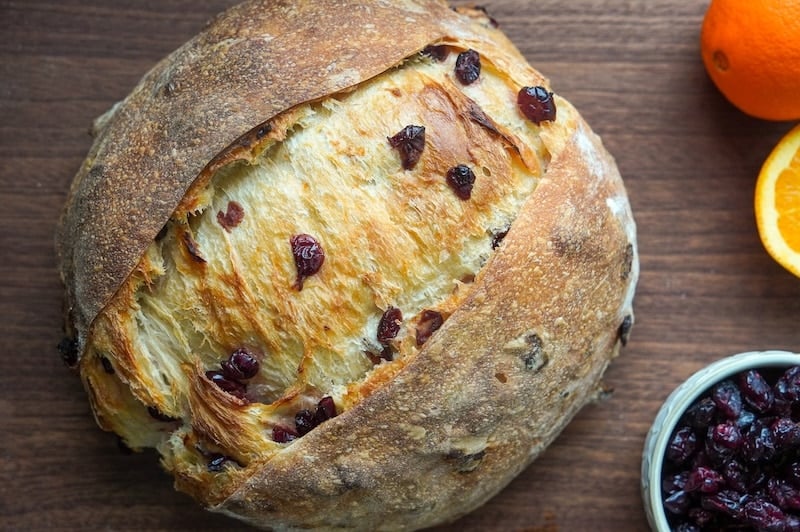 big belly on the sourdough orange cranberry loaf