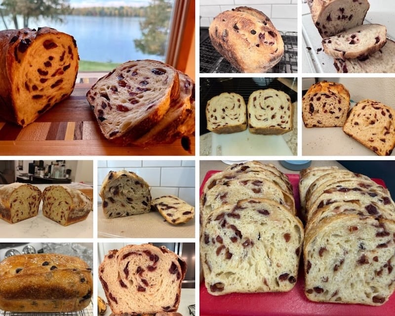 orange cranberry loaf pan results from recipe testers