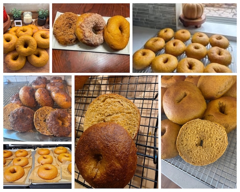 tester pumpkin bagel photo submissions 1